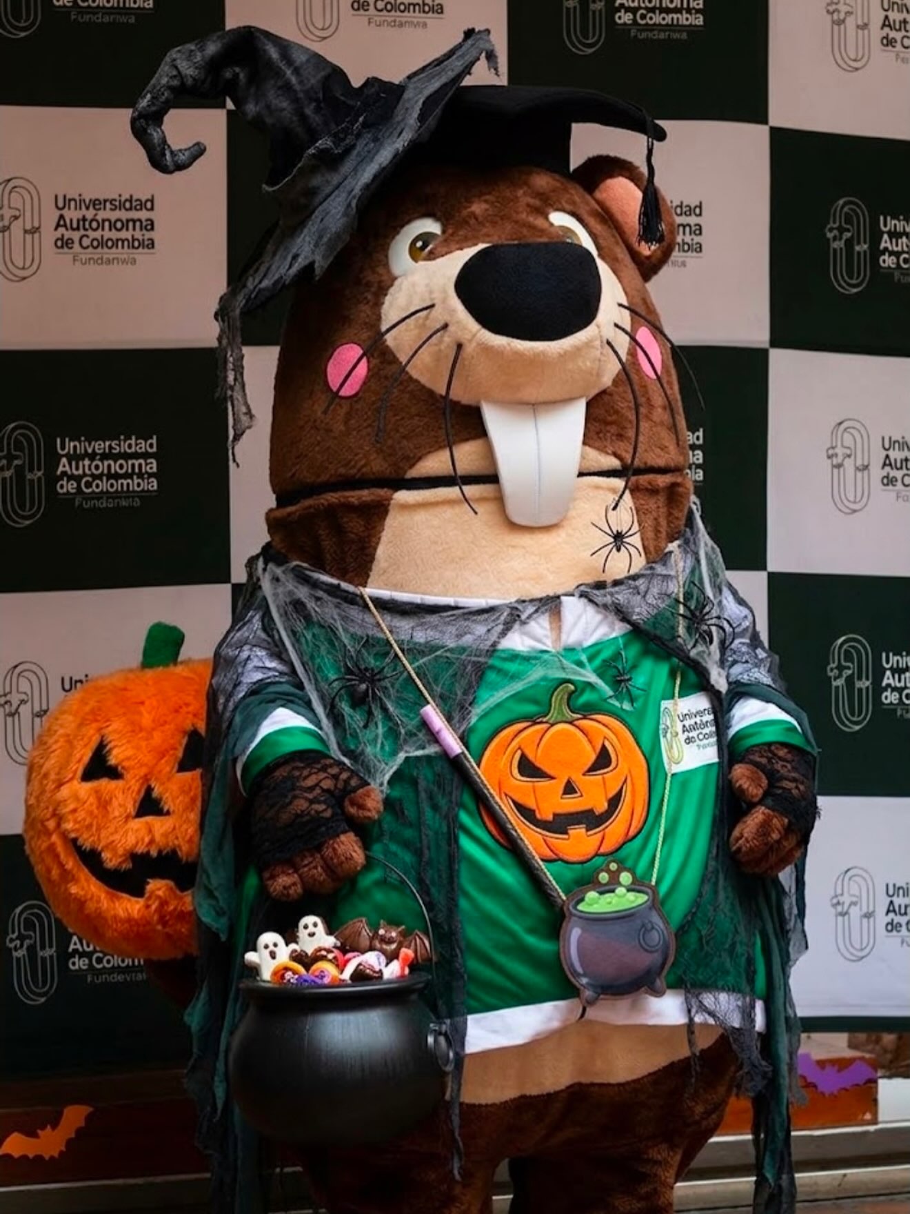 Que los únicos sustos sean las SORPRESAS que Fuacquín tiene para ti. 🎃

Este Halloween, cambia los sustos por nuevas oportunidades, nuevos retos y la posibilidad de construir el futuro que sueñas. 

Porque aquí, todos podemos estudiar, crecer y construir futuro. 

#FUAC #Fuacquín #Halloween #ConstruyendoFuturo